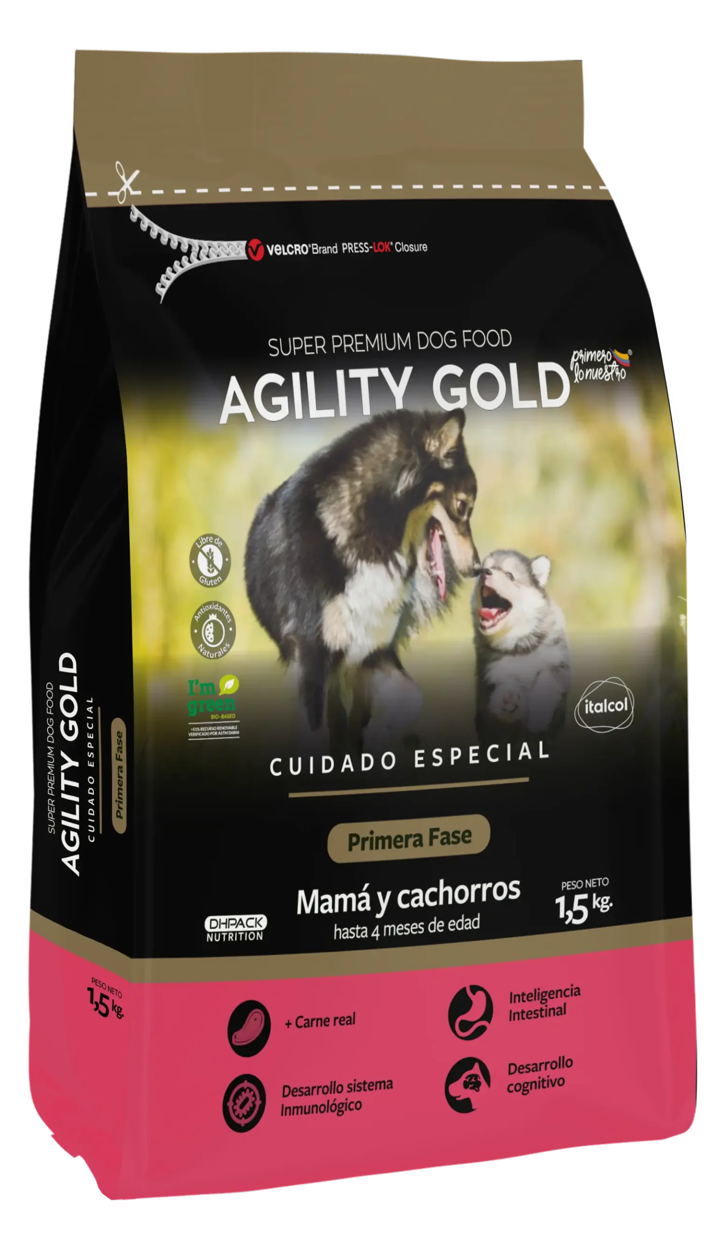 Agility Gold Cachorros Primera Fase